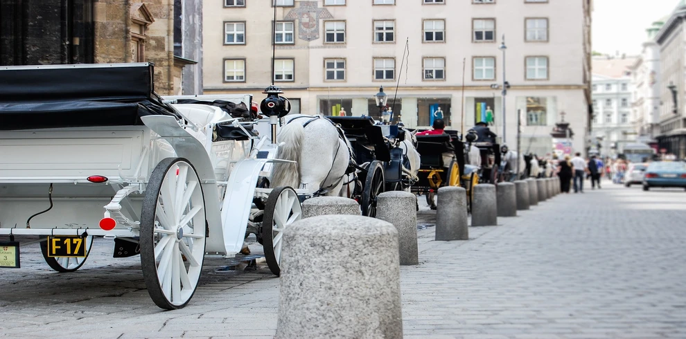 sightseeing-in-vienna-carriage