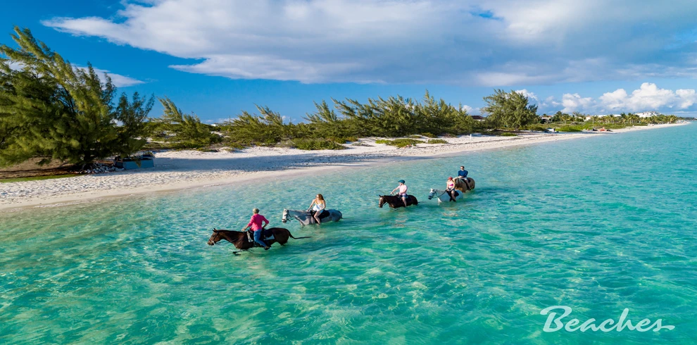 Beaches-Turks-and-Caicos-Resort-horses
