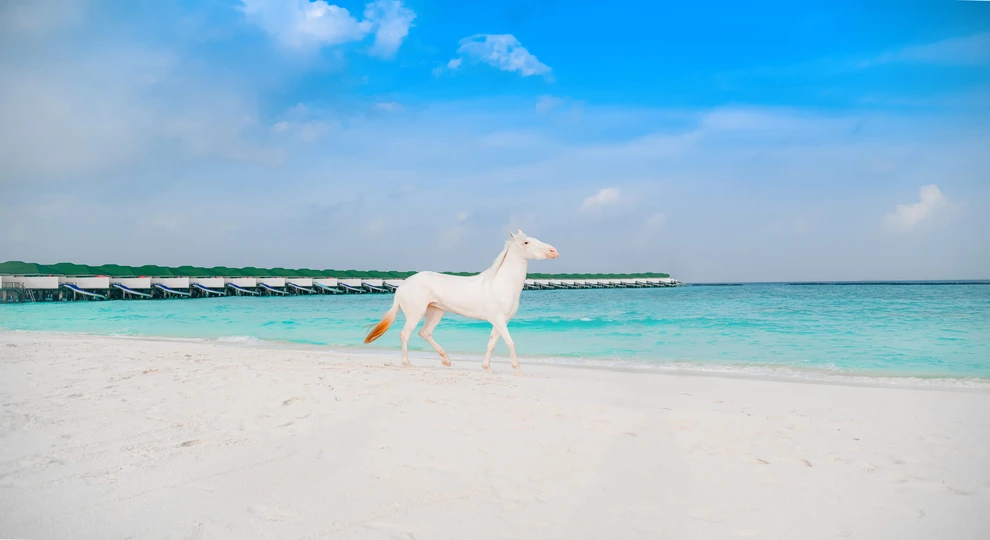 siyam-world-maldives-beach-2